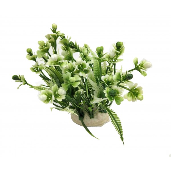 ΔΙΑΚΟΣΜΗΤΙΚΟ ΦΥΤΟ ΕΝΥΔΡΕΙΟΥ